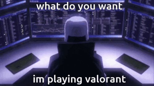 a person is sitting in front of a computer screen with the words " what do you want im playing valorant "