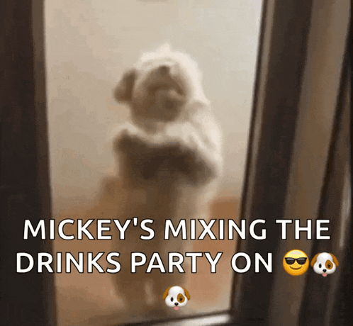 mickey 's mixing the drinks party on is written on a picture of a dog