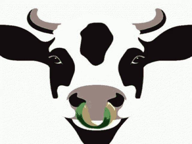 a black and white cow with a green and yellow ring in its nose .