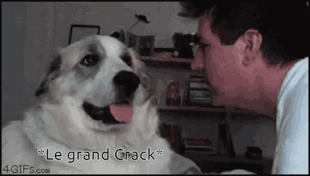 Le Grand Crack Hazertya Cyrodiil GIF - Le Grand Crack Hazertya Cyrodiil GIFs