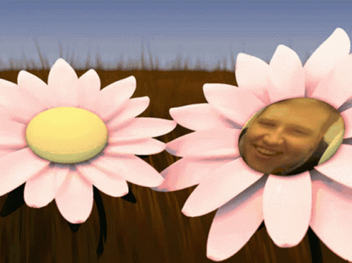 Kasper Flower GIF - Kasper Flower GIFs