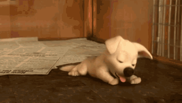 Puppy Yawning GIF - Puppy Yawning Animated GIFs