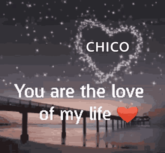 a picture of a bridge with a heart and the words `` you are the love of my life '' .