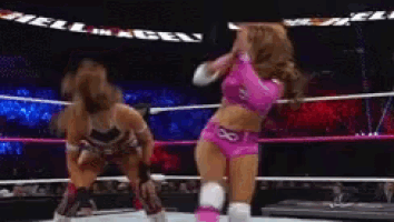 two women are wrestling in a ring with the words hell in ages behind them