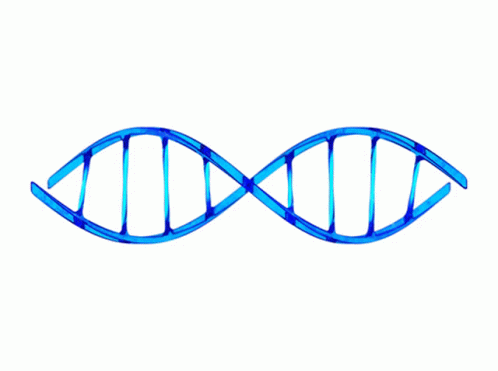 Dna Spinning GIF - Dna Spinning Rotating GIFs