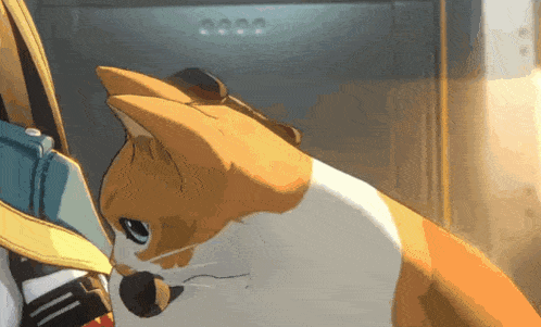 an orange and white cat is looking at a person 's shoulder