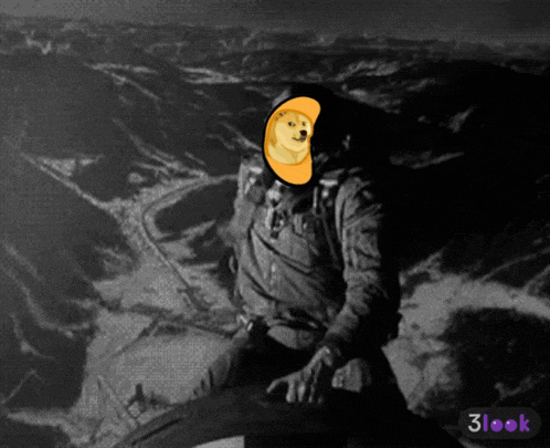 a black and white photo of a person with a doge face on it