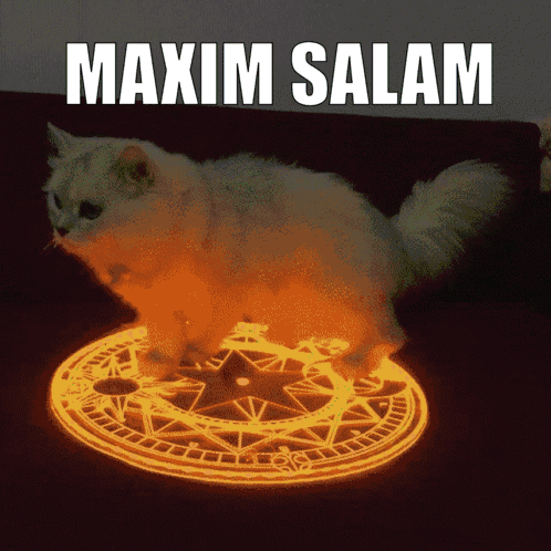 Maksim Salam GIF - Maksim Salam GIFs