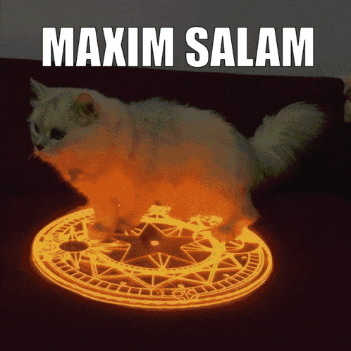 a cat is standing in a glowing circle with the words maxim salam below it