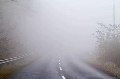 Fog GIF - Fog GIFs