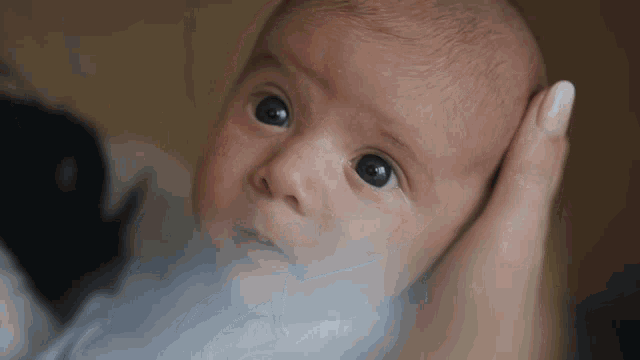 Baby Newborn GIF - Baby Newborn Closeup GIFs