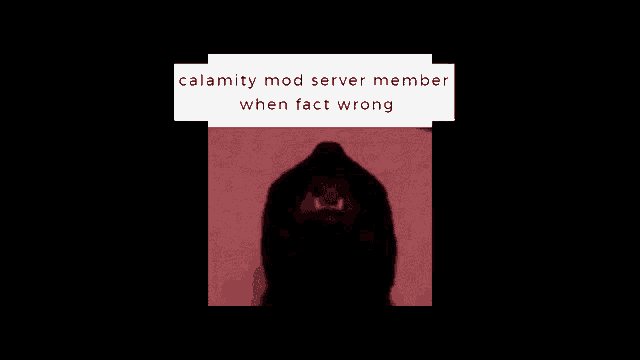 calamity mod server member when fact wrong with a picture of a person