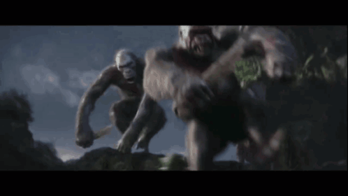 Kong Apes GIF - Kong Apes Godzilla X Kong The New Empire GIFs