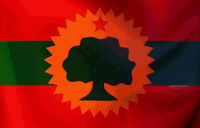 a green and black flag with a tree and a star in the center