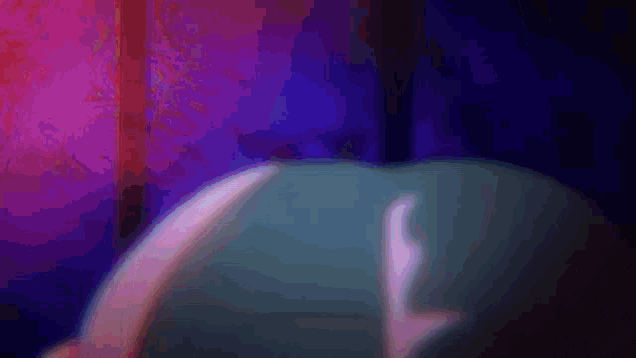 a person is laying on a bed in a dark room with a purple background .