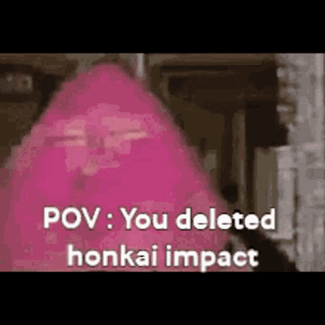 You Deleted Honkai Impact GIF