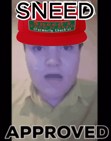 a person wearing a red hat that says sneed approved on it