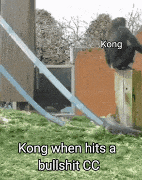 kong when hits a bullshit cc is written on a picture