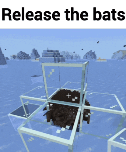 a screenshot of a video game with the words release the bats below it