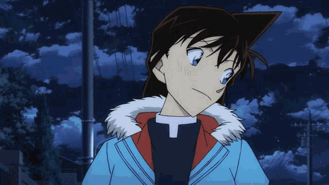 a girl with blue eyes and a fur collar