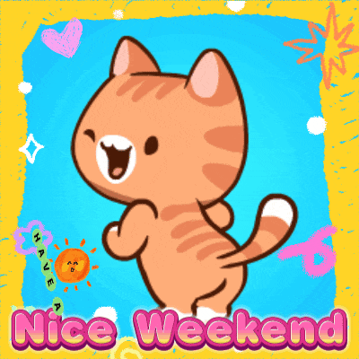 a picture of a cat with the words nice weekend written below it