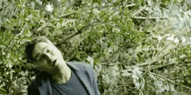 a man is laying on the ground in the woods with his head in the air .
