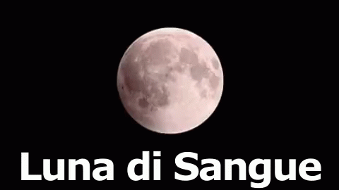 Sangue Luna Rossa Eclisse Notte GIF - Blood Red Moon Eclipse GIFs