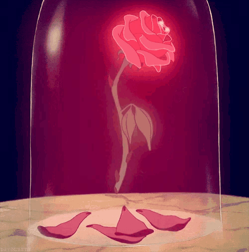 a rose in a glass dome with petals on the floor