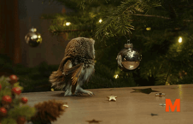 Christmas Owl GIF - Christmas Owl Eyes GIFs