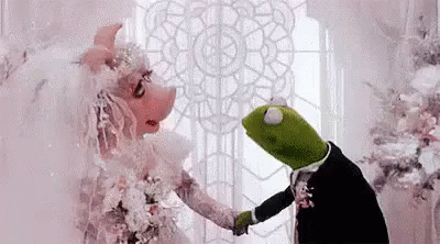 Bruiloft, Sesame Street GIF - Huwelijk Stel Getrouwd GIFs