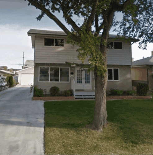 a house with a tree in front of it and a driveway leading to the house