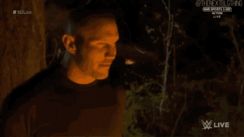 Randy Orton Rko GIF