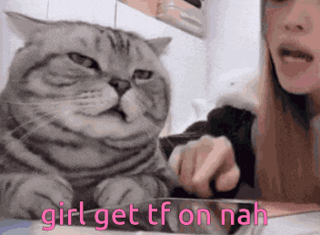 a cat sitting next to a woman with the words " girl get tf on nah "