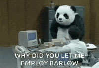 Angry Angry Panda GIF