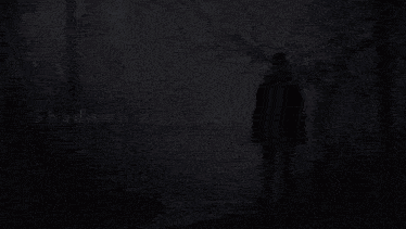 a shadow of a person in a dark forest with the words shadows of rose