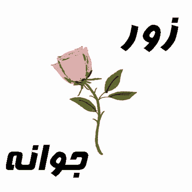 a red rose with green leaves is next to a foreign language sign