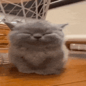 a gray cat is sitting on a wooden table with its eyes closed .