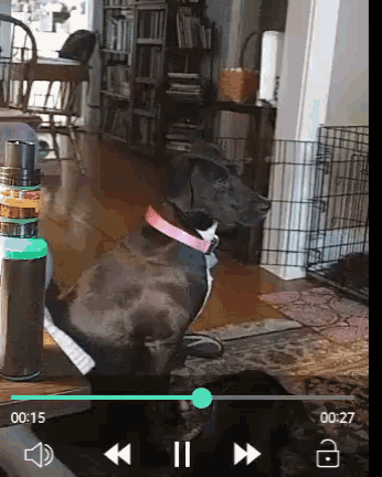 Dogs Close Up GIF - Dogs Close Up Kaigirl23 GIFs