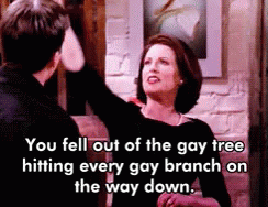 You Fell Out Of The Gay Tree Hitting Every Gay Branch GIF - You Fell Out Of The Gay Tree Hitting Every Gay Branch On The Way Down GIFs