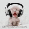 a kitten wearing headphones is sitting on a table with its mouth open .