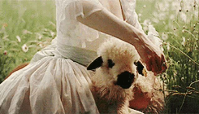 a woman in a white dress is petting a small sheep in a field