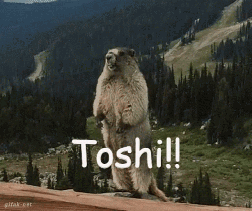 Toshi GIF - Toshi GIFs