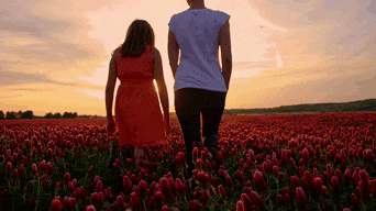 a mother and daughter are walking through a field of red flowers at sunset .