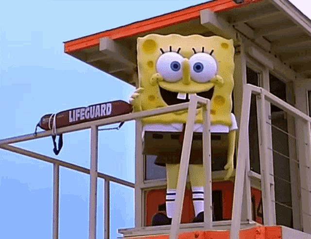 Sponge Bob Square Pants Sponge Guard On Duty GIF - Sponge Bob Square Pants Sponge Bob Sponge Guard On Duty GIFs