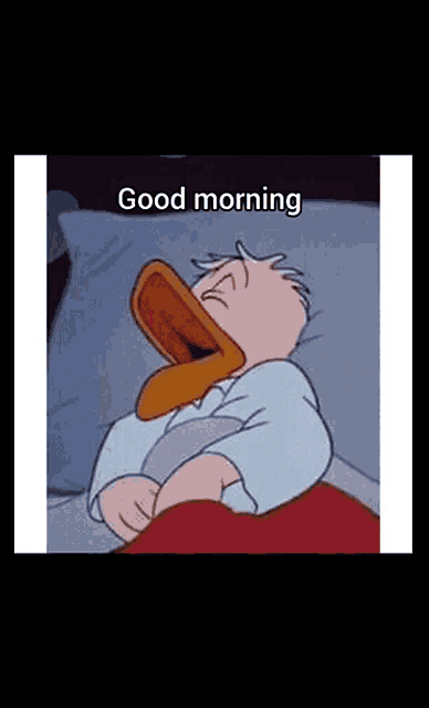 donald duck is sleeping in bed with his mouth open and the words `` good morning '' written on the bottom .