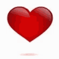 a red heart on a white background with a shadow .