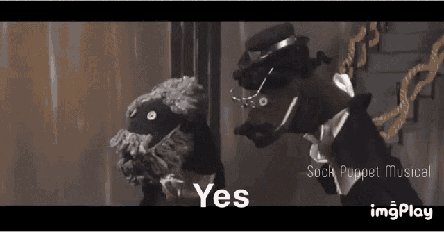 a sheep and a dog are standing next to each other and the sheep is saying yes