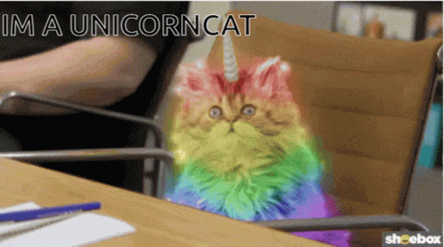 Unicorn Cat GIF - Unicorn Cat GIFs