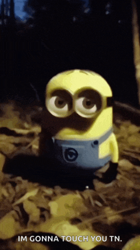 a picture of a minion that says im gonna touch you tn.