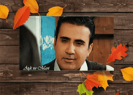 a picture of a man surrounded by leaves with the words aşk ve mari on the bottom